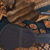ساز گیتا
