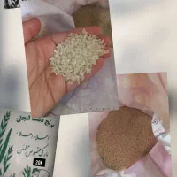 30 کیلو برنج درجه یک دشت لنجان بومی