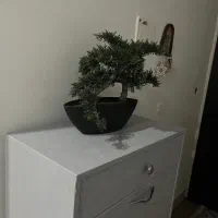 بن سای مصنوعی