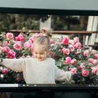 کامپیوتر Dell|رایانه رومیزی|شهرضا, |دیوار