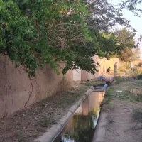 باغ باصفا