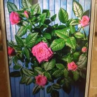 هوای مدل Y52016|موبایل|بندرلنگه, |دیوار