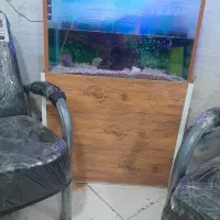 فروش آکواریوم با کلیه لوازم
