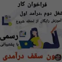 فرصت درآمدزایی انلاین ویژه بانوان