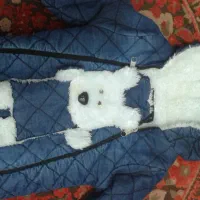 کاپشن نوزادی