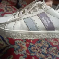 کفش اسپورت|کیف، کفش، کمربند|گرمسار, |دیوار