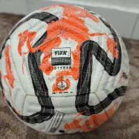 توپ چمن اصلی نایک|ورزشهای توپی|قزوین, |دیوار