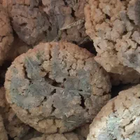 ترخینه|خوردنی و آشامیدنی|هرسین, |دیوار