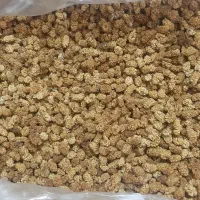 توت خشک 400کیلو صادراتی به قیمتعمده کیلوی300تومان|حراج|اهواز, چهارصد دستگاه|دیوار