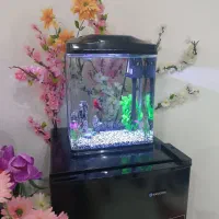 آکواریوم شرکتی فول لوازم اکوا BT-300