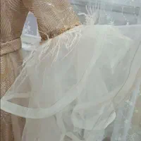 لباس مجلسی|لباس|سیرجان, |دیوار