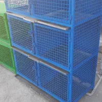 فروش کبوتر دوکتی سرخ|پرنده|خمینی‌شهر, |دیوار