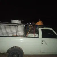 سمپاشی باغ