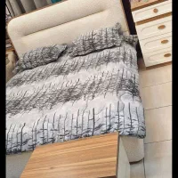 ست کامل تخت پاکارد|تخت و سرویس خواب|تبریز, |دیوار