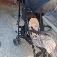 کالسکه عصایی|کالسکه و لوازم جانبی|نیشابور, سرآب کوشک|دیوار