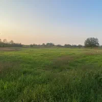 زمین-در-بانکلاته