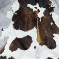 پوستر طبیعی|فرش|اهواز, گلستان|دیوار