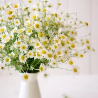 حسابدار حقوق و دستمزد و بیمه تامین اجتماعی