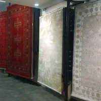 تنوع فراوان|فرش|آبیک, |دیوار