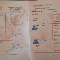 سگ پامرین گرگی کاملا سلام و واکسینه شده|سگ|شهریار, شهرک شاهد|دیوار