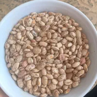 لوبیا چیتی|خوردنی و آشامیدنی|نهاوند, |دیوار