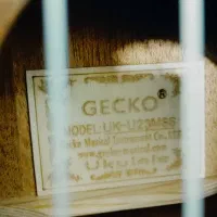 اوکولهله برند GECKO|گیتار، بیس، امپلیفایر|شیراز, گلکوب|دیوار