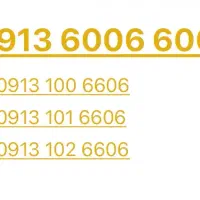 شش هزار و شش ششصد و‌شش