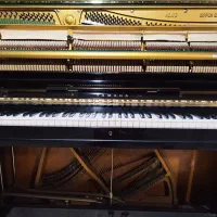 انواع پیانو اکوستیک|پیانو، کیبورد، آکاردئون|بندرعباس, |دیوار