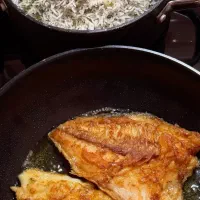 راننده خانم