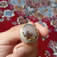 انگشتر کلسیومی شجر زنده|جواهرات|ساوه, |دیوار