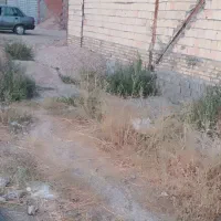 زمین 100متری دونبش حاجی بیگلر