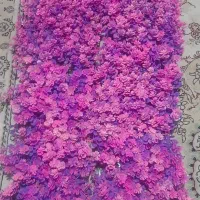 گرین وال(شکوفه مرداب(بنفش))