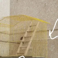 خ.  قفس.ری. بزرگ بازاری ساده   و عروسک و انواع