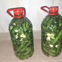 خیار شور تازه