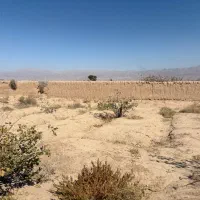 زمین پسته ای در محدوده فتح اباد شهرستان زرند|فروش زمین و ملک کلنگی|زرند, |دیوار