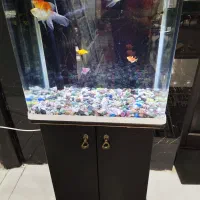 آکواریوم کمدی در حد نو سالم