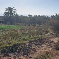 زمین مزروعی انتهای صحرای مبارکه نزدیک بلوارسنگ آهن