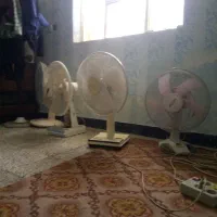 پنکه