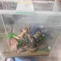 آکواریوم ۸میله با وسایل کامل