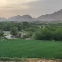 فروش-زمین-کشاورزی-پایین-ترین-قیمت