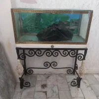 اگواریم|ماهی|پاکدشت, پاکدشت (مامازند)|دیوار