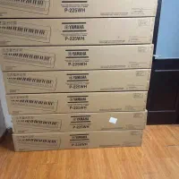 پیانو پرتابل p225 white