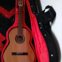 گیتار مدل دوریس+Ds|گیتار، بیس، امپلیفایر|فولادشهر, B7|دیوار