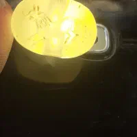 مهره قدیمی|کلکسیون اشیاء عتیقه|شاهینشهر, گرگاب|دیوار