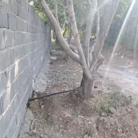 باغ شهری فاروق متراژ ۱۰۰۰متری|فروش خانه و ویلا|سیدان, |دیوار