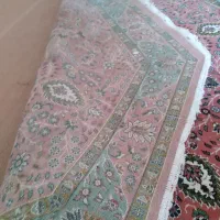 فرش را هرو|فرش|سهند, |دیوار
