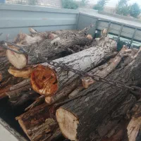 خریدچوب باغات نقدی نوروزی
