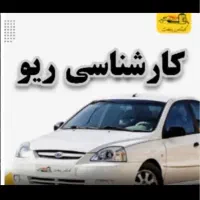 کارشناس تخصصی ریو دنده ای و اتوماتیک