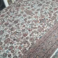 ۴تا شیش متری سالم وشیک همشون باهم این قیمت