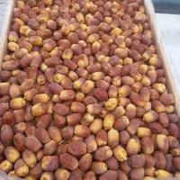 قصبک تازه سالم عمده و خورده موجود هست  قیمت ۱۲۰